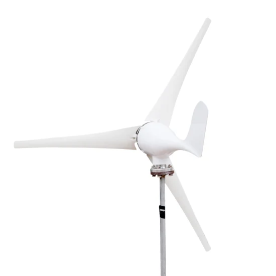 Venda por atacado doméstico branco 100W 200W 300W turbina eólica gerador de energia eólica geradores eólicos marítimos